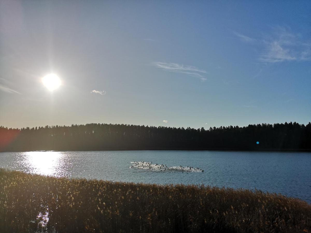 Apartamenty Mazurskie Klimaty Tomaszkowo Exteriör bild